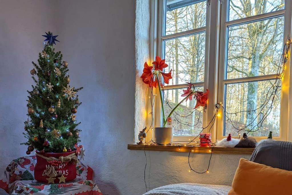 Beautiful And Cosy House Near The Lake Olofström Exteriör bild